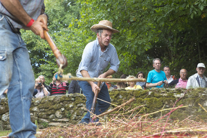 2016, Cider Festival in the village of Poul Fetan. Quistinic in the Morbihan