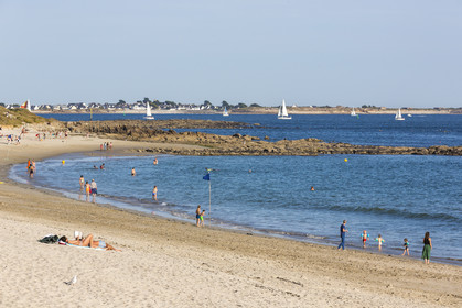 Kerguelen beach _ the reeds at Larmor-Plage