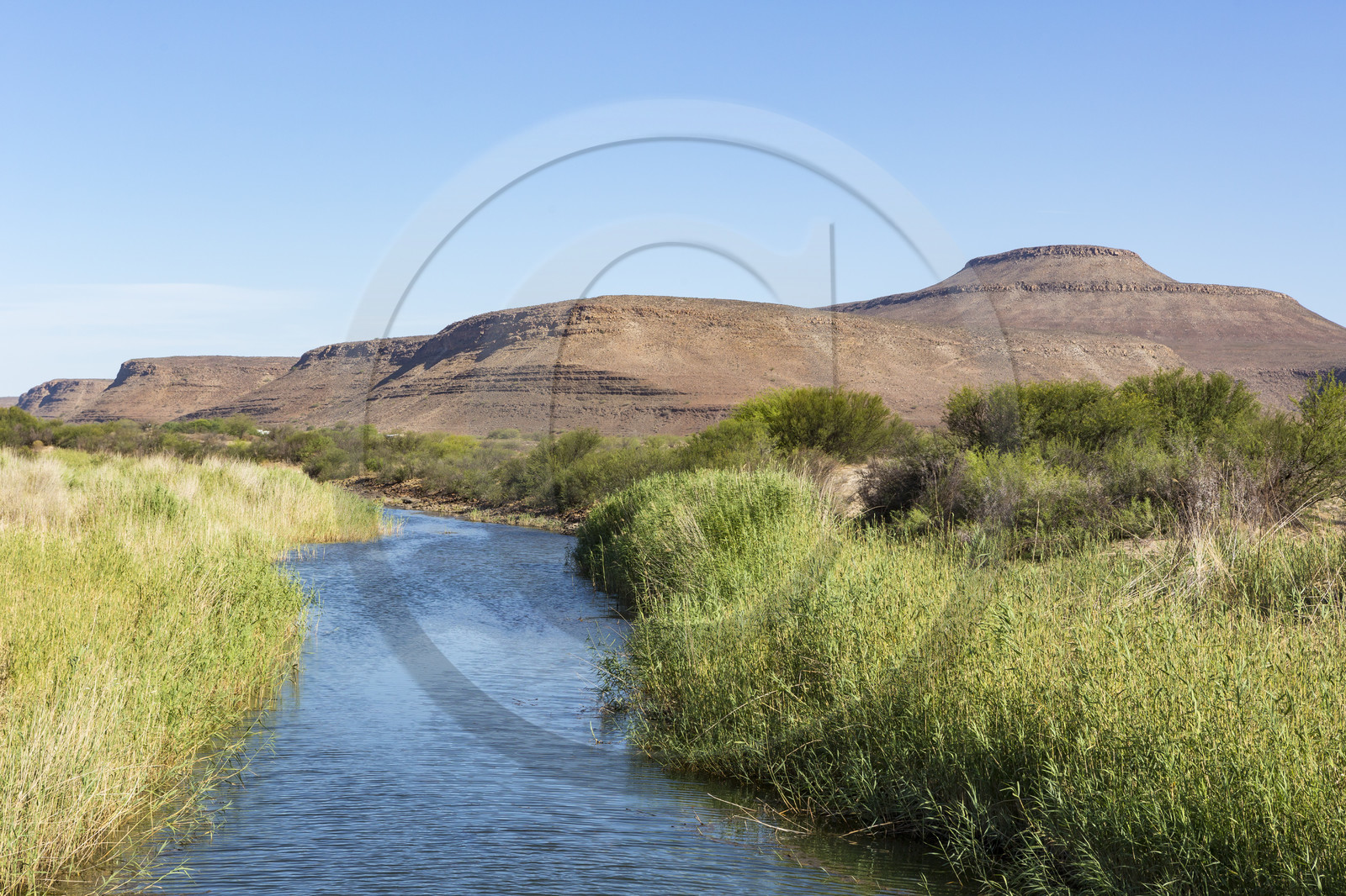 Cederberg _ Afrique du Sud