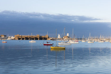 Vasière de Quelissoy _ Larmor-Plage