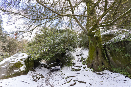 The forest of Huelgoat