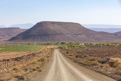 Cederberg _ Afrique du Sud
