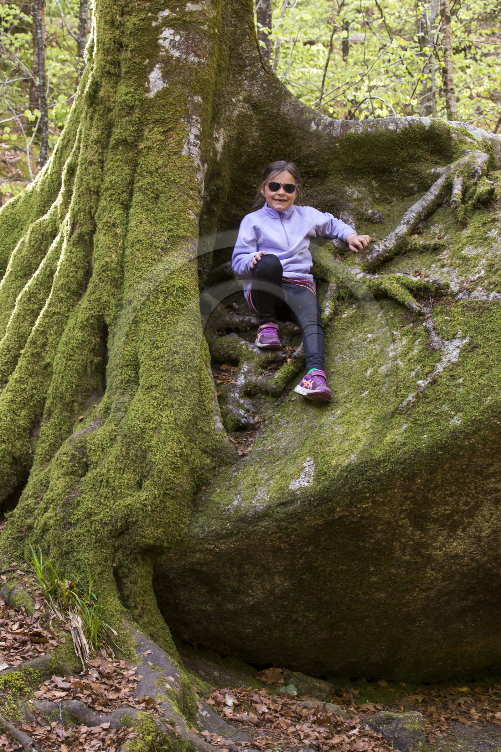 Forêt de Huelgoat