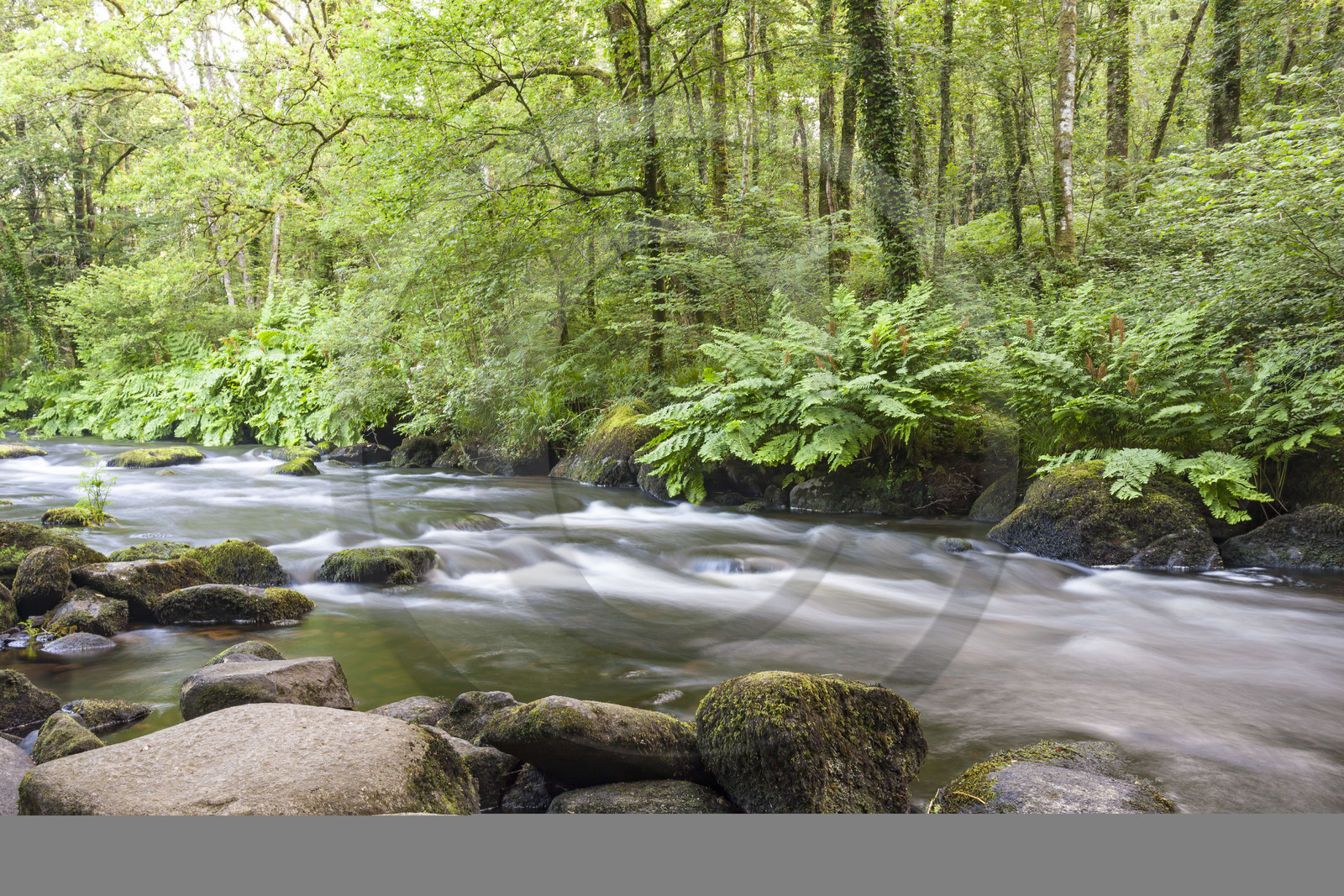 La rivière l'Ellée