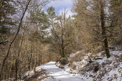 La forêt de Huelgoat, Finistère
