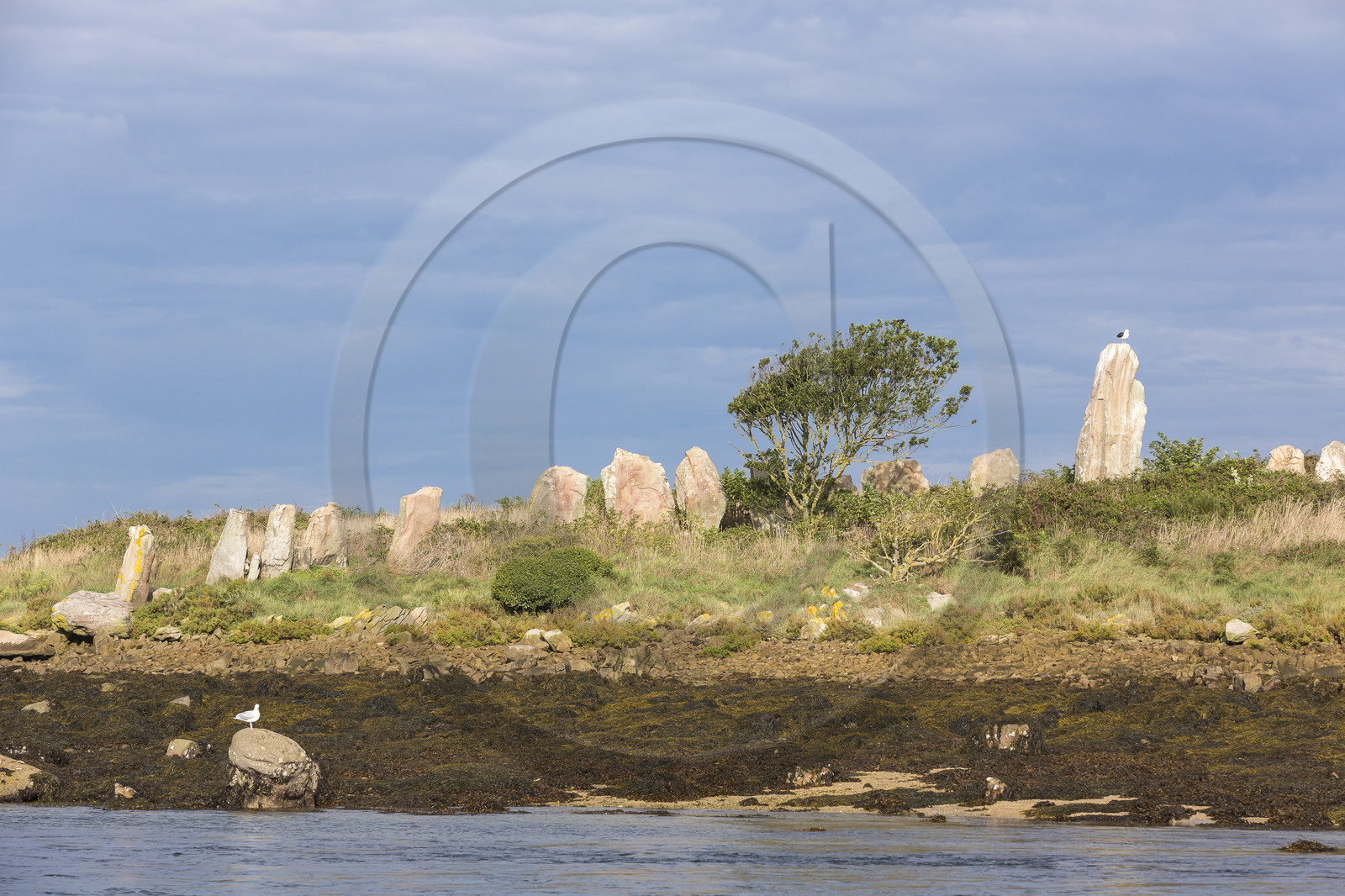 Er lannic in the Gulf of Morbihan in Arzon