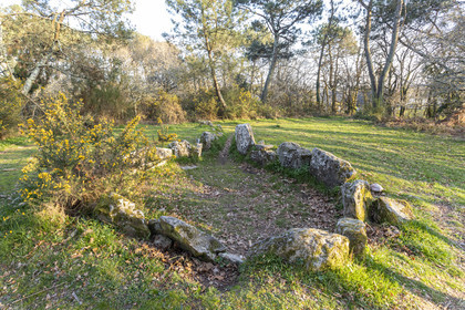 Le site mégalithiques de Mané Bogad à Ploemel