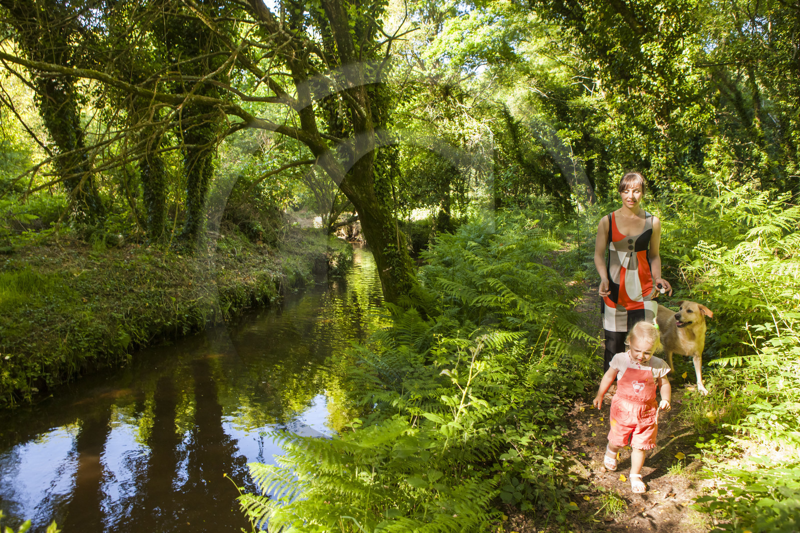 Le ruisseau le Rion sur la commune de Brandérion