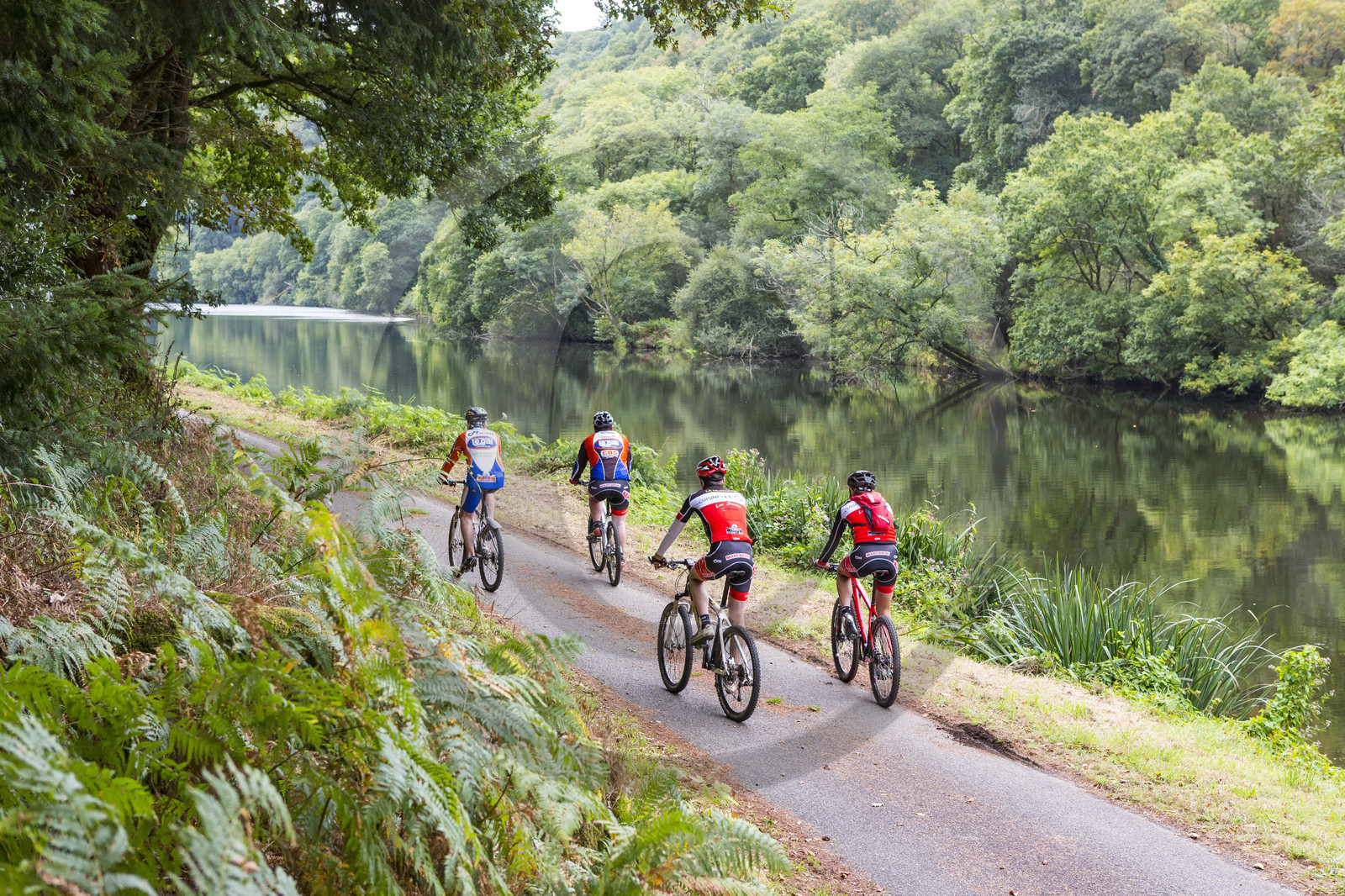Sortie VTT le long du Blavet à Languidic