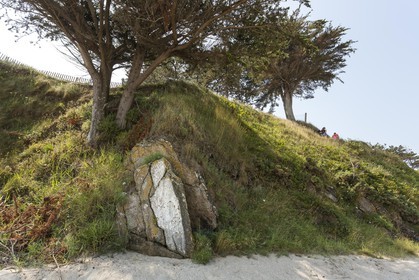 Le Saint Awawa sur la plage du Rougeret à Saint-Jacut de la Mer ( 22 ).