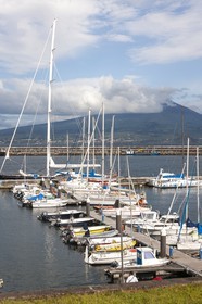 Le port d' Horta_Faial_Archipel des Açores