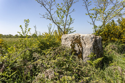 Menhir de Kerbigot à Sarzeau