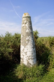 Stele of Prostlon _ Locoal-Mendon