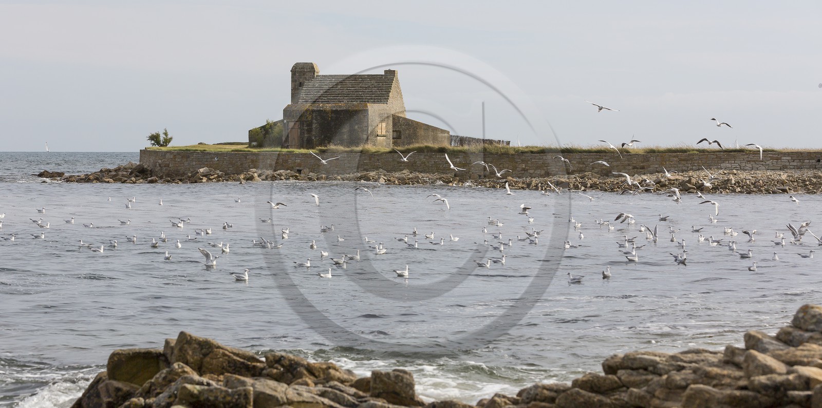 La pointe de Kerbihan _ La Trinité sur Mer