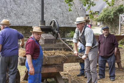 2016, Cider Festival in the village of Poul Fetan. Quistinic in the Morbihan