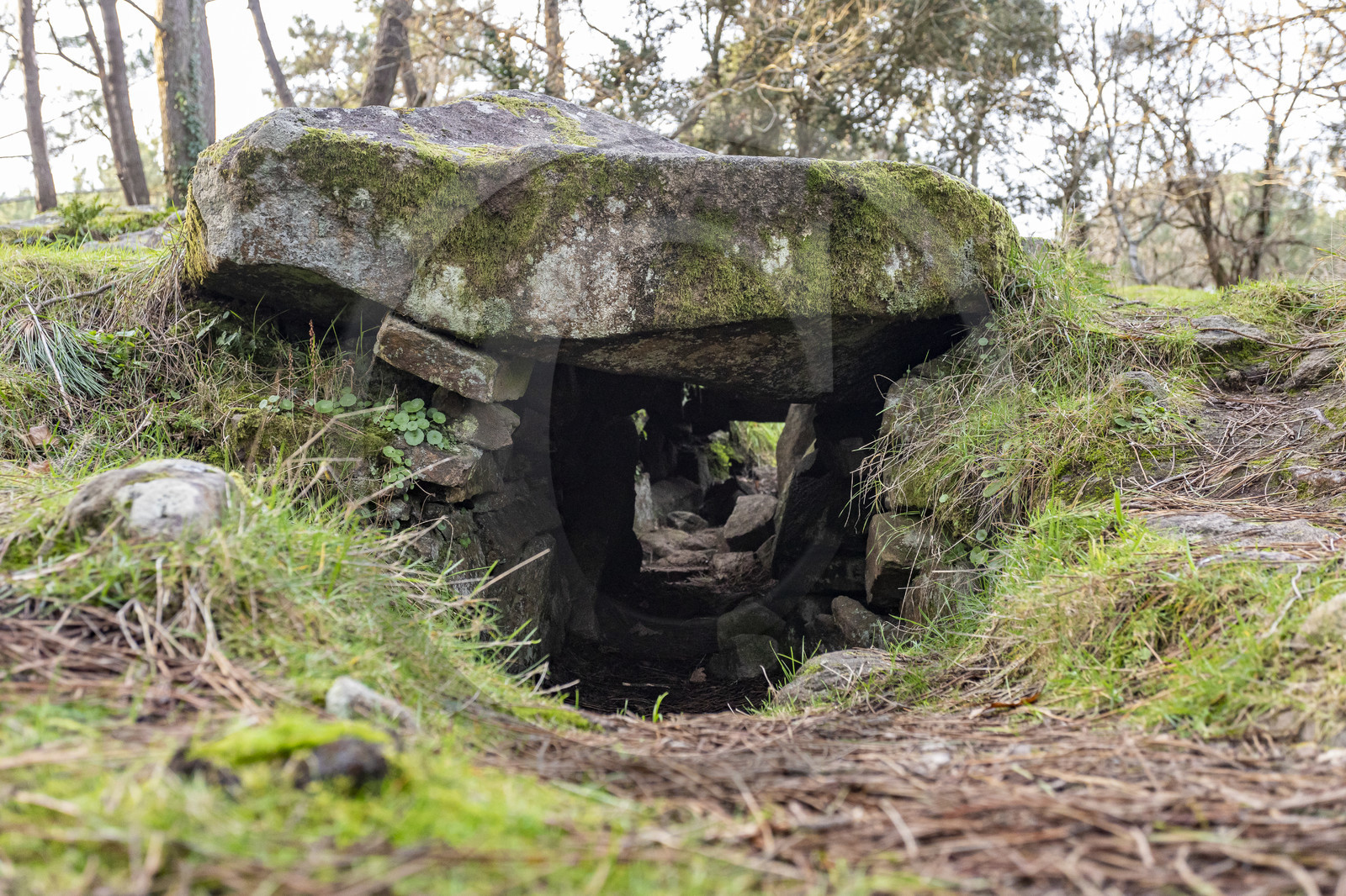 Le dolmen de Mané-Ven-Guen ou Toulvern situé à Baden
