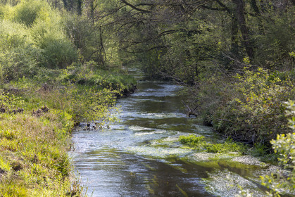 La rivière d'Argent à Huelgoat