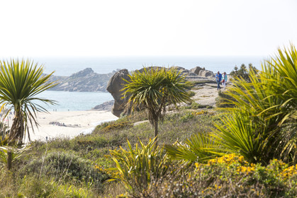 Panorama on the coast of Tregastel