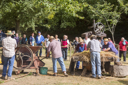 2016, Cider Festival in the village of Poul Fetan. Quistinic in the Morbihan