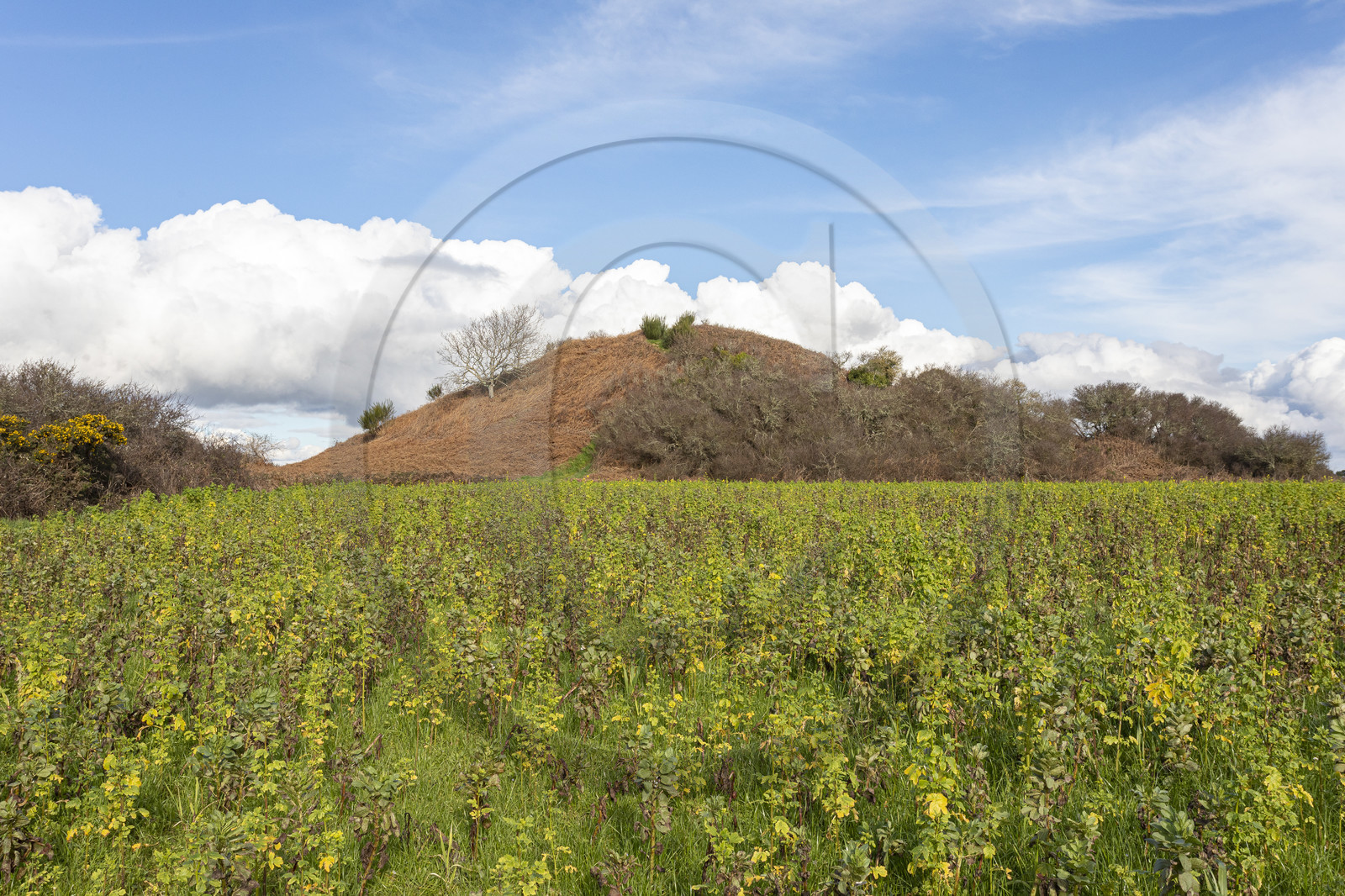 Tumulus of Tumiac in Arzon