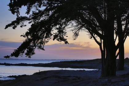 La pointe de Kerbihan _ La Trinité sur Mer