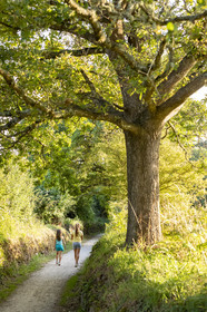 Chemin de Croez er Gwen, Carnac