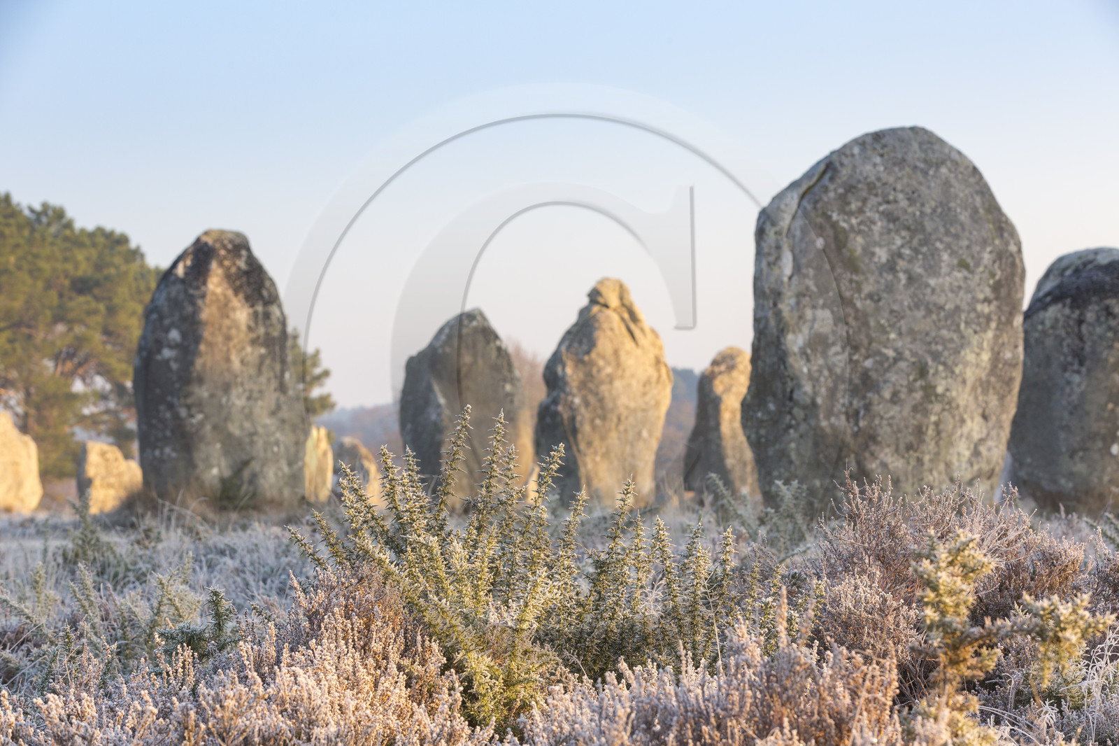 Alignements de Kerlescan à Carnac