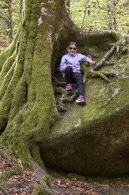 Huelgoat forest
