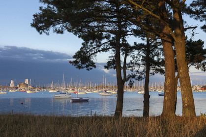 Vasière de Quelissoy _ Larmor-Plage