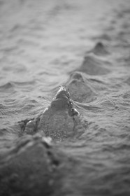 mouvement d'eau