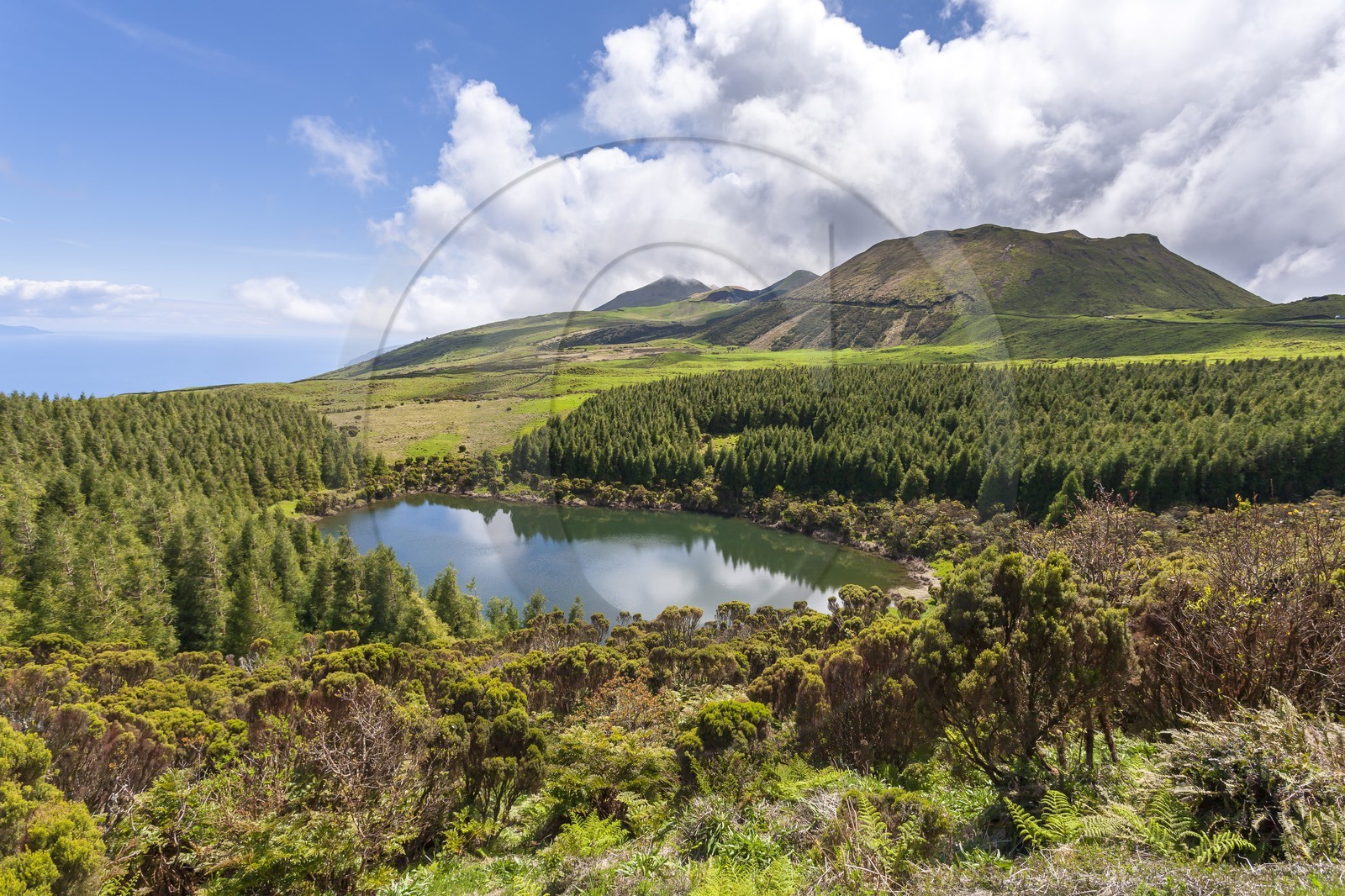 Lac Seca_Pico