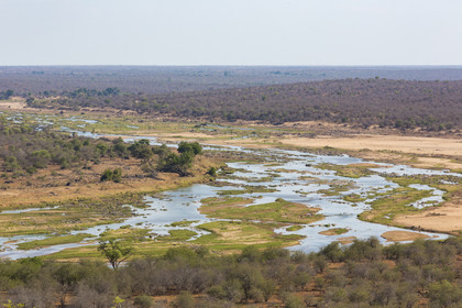 Parc Krüger, Afrique du Sud