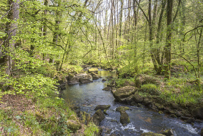 20170418_HUELGOAT_55A3771.jpg