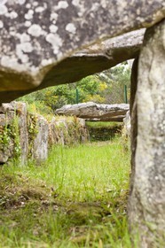 SITE ARCHEOLOGIQUE DE MANE ROULARDE _ LA TRINITE SUR MER