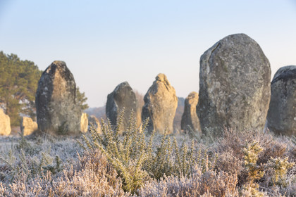 Alignements de Kerlescan à Carnac