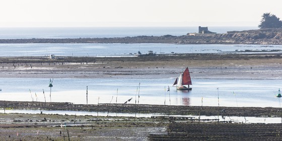Riviere de crach