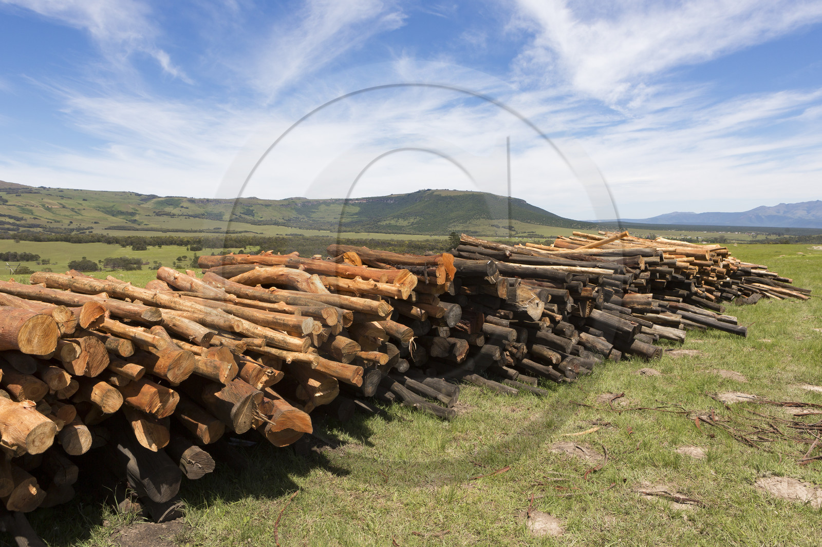 Production de bois dans le village d'Elundini