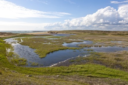 dunes et marais d'Erdeven