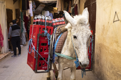 La Médina de Fès au Maroc