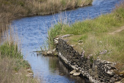 Etang du Loch - Guidel