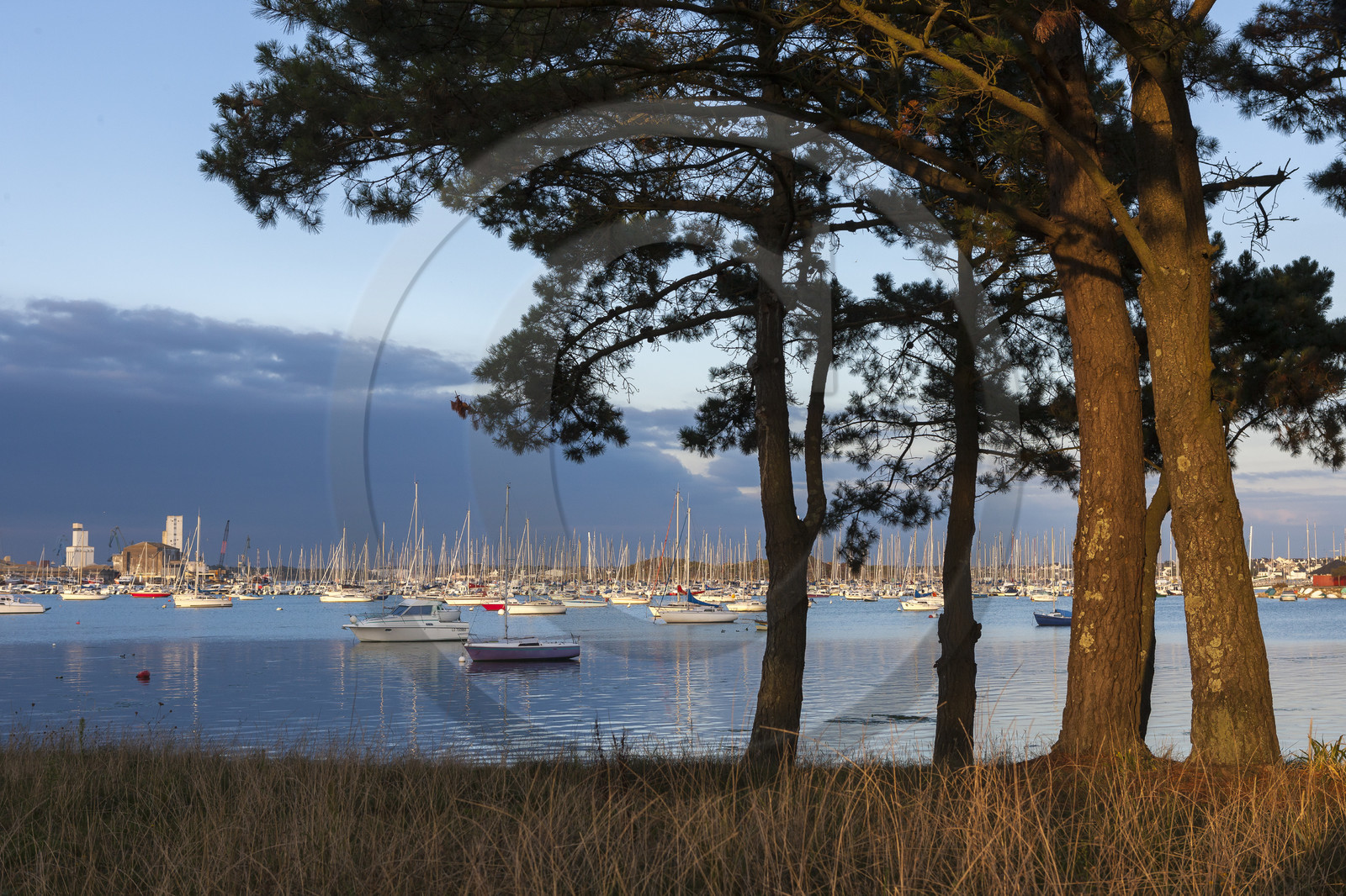 Vasière de Quelissoy _ Larmor-Plage