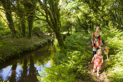The creek Rion in the town of Brandérion