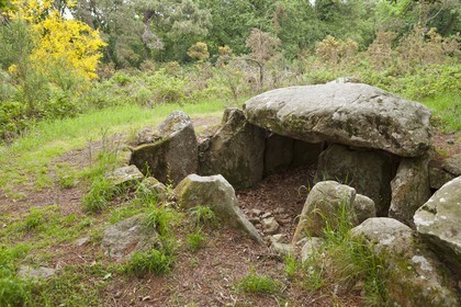 LE DOLMEN DE KERMARQUER