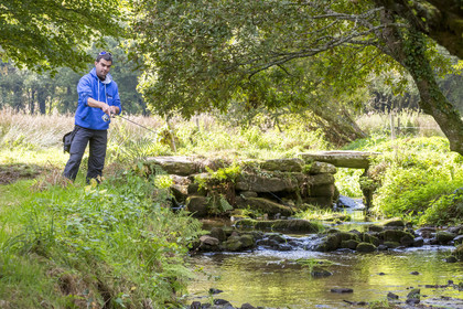Ruisseau du Brandifout_Bubry