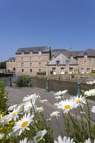 Les moulins du port de Plancoët ( 22 ).
