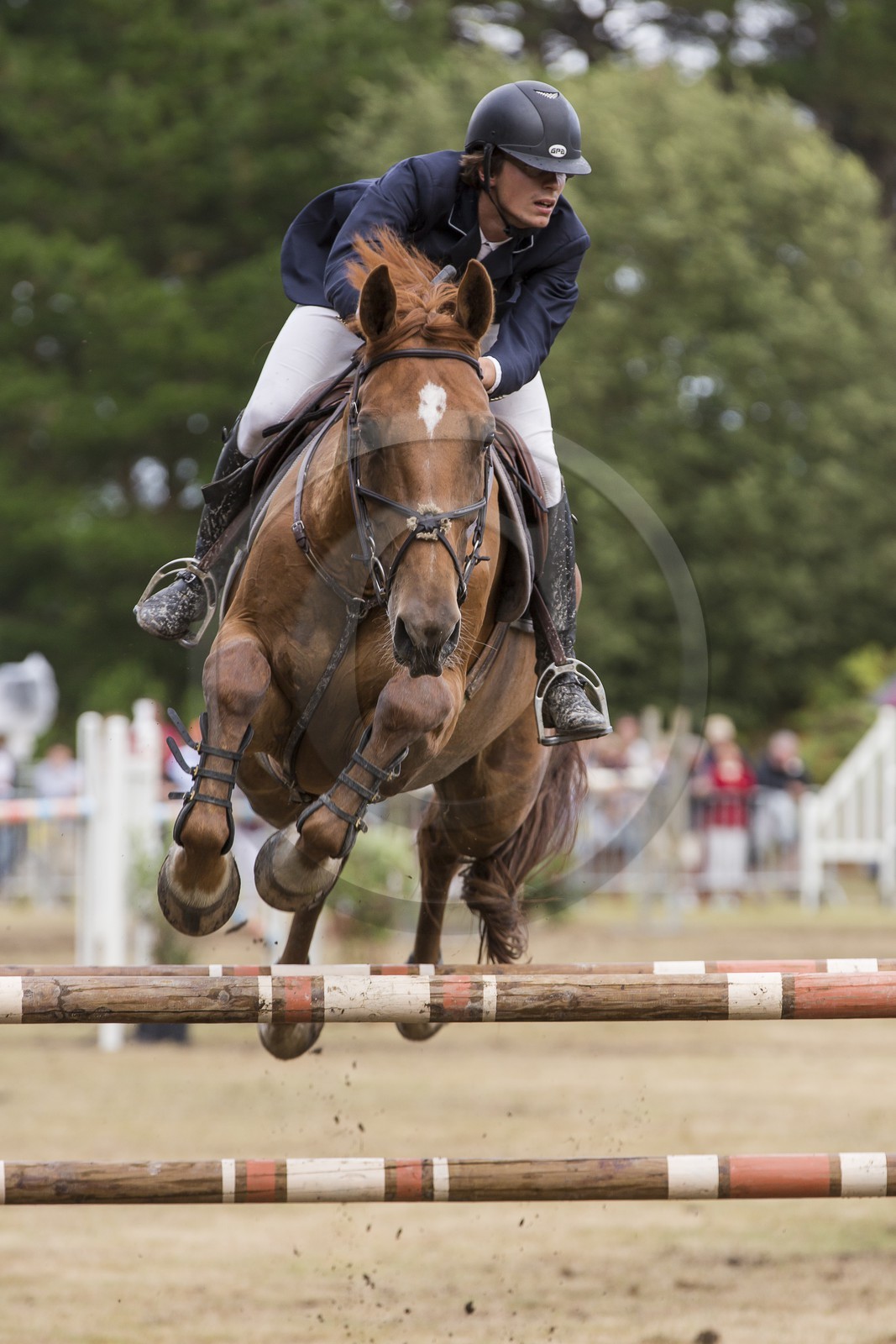 concours equestre _ la Trinite sur Mer ( 56 )