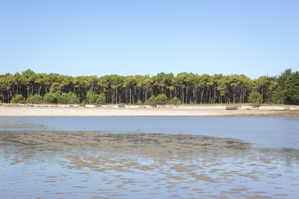 the white sand beach in Plouharnel