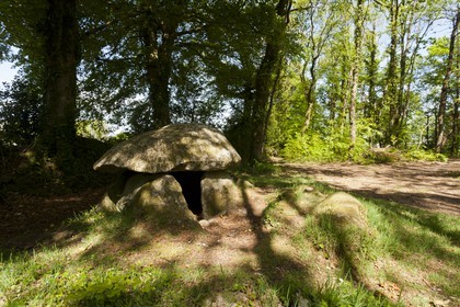Dolmen de Lesvariel _ Guidel