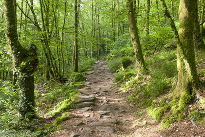 20080625_le Faouet_011.jpg