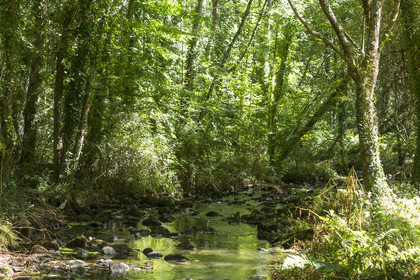 Le ruisseau du Gouyanzeur à Carnac